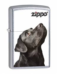 Zippo GR4070 Black Lab