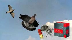 NSI Special Palombe 36gr