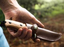 Boker Magnum Zebra Drop 02SC337