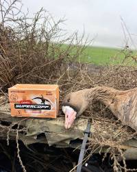 Lambro Supercopp Magnum 35gr