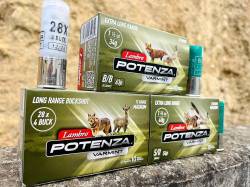 Lambro Potenza Varmint Magnum 40gr